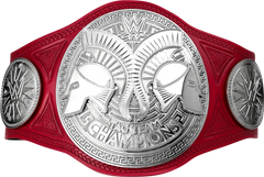 RAW TAG TEAM Championship Tittle Belt